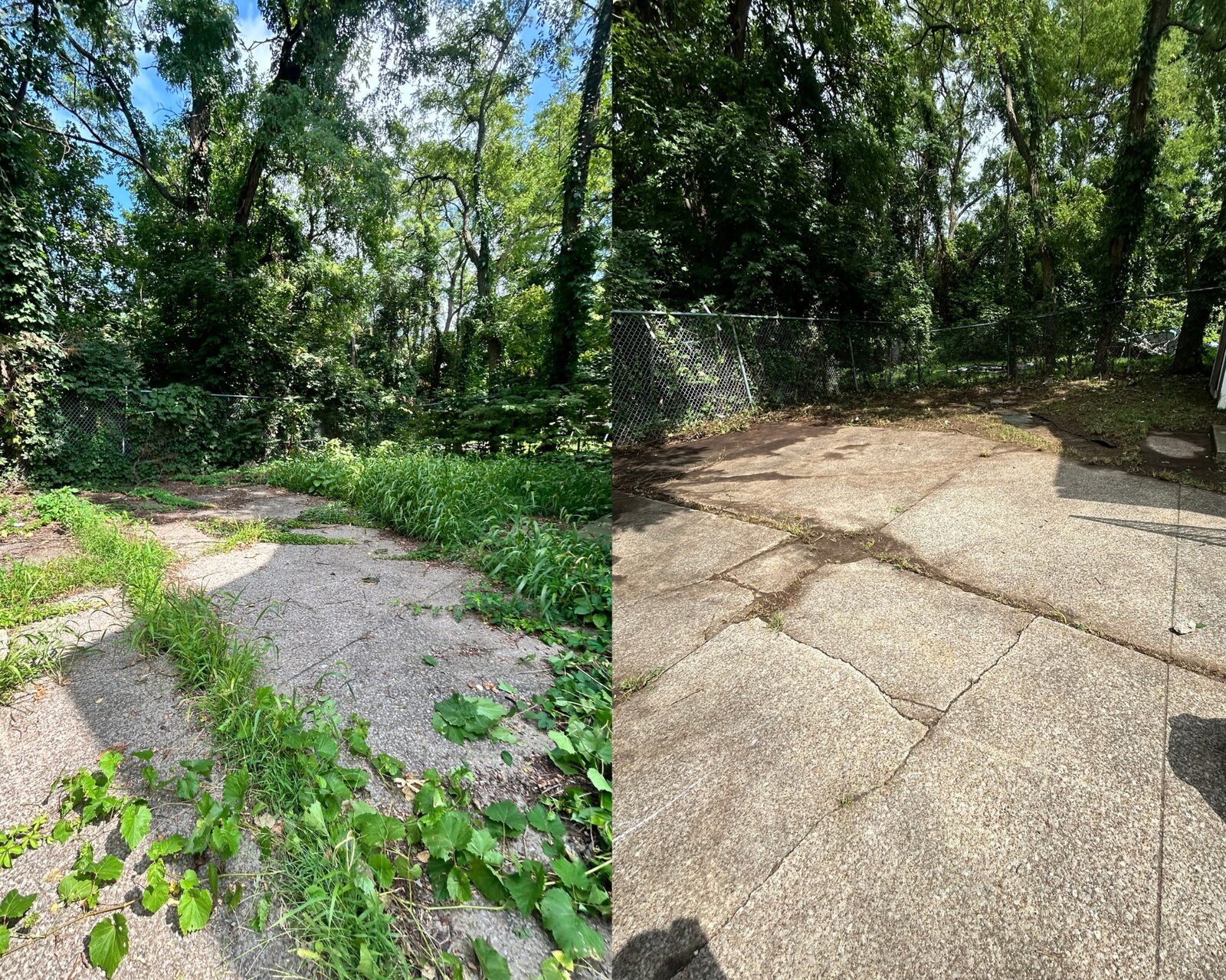 Before and after: backyard patio cleared of weeds and cleaned up