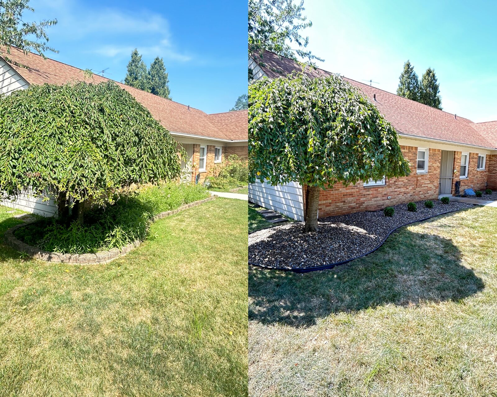 Before and after: an overgrown Cleveland front yard cleaned up with a trimmed tree and fresh rock bed